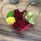 Immagine 1 azienda MILLEFIORI ALBANO Shopping e acquisti in Albano Laziale RM