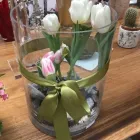 Immagine 3 azienda MILLEFIORI ALBANO Shopping e acquisti in Albano Laziale RM