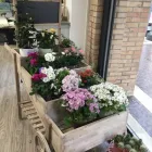 Immagine 5 azienda MILLEFIORI ALBANO Shopping e acquisti in Albano Laziale RM