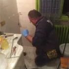 Immagine 2 azienda MINI SPURGO BER.SA. Servizi professionali in Modena