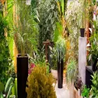 Immagine 4 azienda MIRTO INGROSSO PER FIORISTI Shopping e acquisti in Busto Arsizio VA