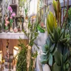 Immagine 5 azienda MIRTO INGROSSO PER FIORISTI Shopping e acquisti in Busto Arsizio VA