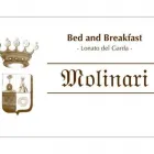 Immagine 4 azienda MOLINARI Viaggi e turismo in Lonato Del Garda BS