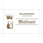 Immagine 5 azienda MOLINARI Viaggi e turismo in Lonato Del Garda BS