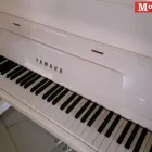 Immagine 1 azienda MOLTENI STRUMENTI MUSICALI Strumenti musicali in Varese