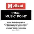 Immagine 7 azienda MOLTENI STRUMENTI MUSICALI Strumenti musicali in Varese
