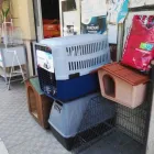 Immagine 8 azienda MONDO AGRICOLO Shopping e acquisti in Bagheria PA