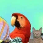 Immagine 1 azienda MONDO CANE - MANGIMI PER ANIMALI Servizi professionali in San Giovanni La Punta CT