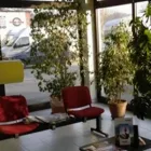 Immagine 4 azienda MONTEGROSSO FRANCESCO & C. Veicoli in Barca