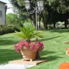 Immagine 3 azienda MOSAICO GIARDINI DI BRESOLIN ANDREA Servizi professionali in Pederobba TV