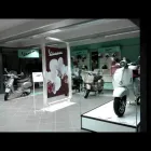 Immagine 2 azienda MOTORTEAM Veicoli in Ghezzano