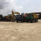 Immagine 2 azienda MOVIMENTO TERRA TURLA' E FIGLI Shopping e acquisti in Rosolini SR