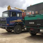 Immagine 7 azienda MOVIMENTO TERRA TURLA' E FIGLI Shopping e acquisti in Rosolini SR