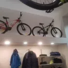 Immagine 1 azienda MTB SICILY Veicoli in Messina