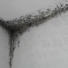 Immagine 1 azienda MURPROTEC ITALIA S.R.L. Manutenzione di stabili in Cornaredo MI