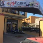 Immagine 1 azienda MV RICAMBI Vivaio in Bagheria PA
