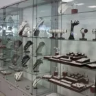 Immagine 5 azienda MY GROUP Shopping e acquisti in Buccinasco MI