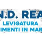 Immagine 1 azienda N.D.REA IMPRESA EDILE Servizi professionali in Pomigliano D'arco NA