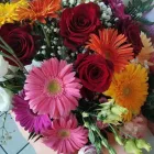 Immagine 1 azienda NADIA FIORI Shopping e acquisti in Montichiari BS