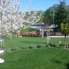 Immagine 3 azienda NATALE FLORINDO VIVAI Vivaio in Fossacesia CH