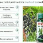 Immagine 5 azienda NATURHOUSE SAS Shopping e acquisti in Milano