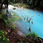 Immagine 1 azienda NETTAMENTE Web design in Modena