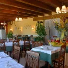 Immagine 1 azienda NETTUNO TENNIS CLUB Sport e tempo libero in Bologna