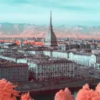 Immagine 2 azienda NO PANIC Servizi professionali in Torino
