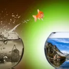 Immagine 1 azienda NORDIO CONSULTING Soluzioni energetiche in Casier TV