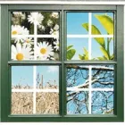 Immagine 1 azienda NUOVA LINEA INFISSI Shopping e acquisti in Ravenna