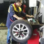 Immagine 8 azienda NUOVA STILGOM Veicoli in Taranto