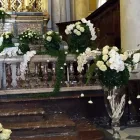 Immagine 1 azienda OASI VERDE FIORI E PIANTE Shopping e acquisti in Santa Venerina CT