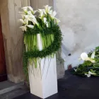 Immagine 6 azienda OASI VERDE FIORI E PIANTE Shopping e acquisti in Santa Venerina CT