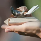 Immagine 2 azienda OFFICINA CERAMICA ARTISTICA GRETA FILIPPINI Shopping e acquisti in Ferrara