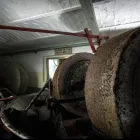 Immagine 5 azienda OLEIFICIO FAIETA S.N.C. DI MARCO E STEFANO FAIETA Servizi professionali in Collecorvino PE