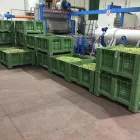 Immagine 2 azienda OLEIFICIO RISCIGNOLO Shopping e acquisti in Scordia CT