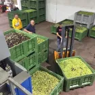 Immagine 6 azienda OLEIFICIO RISCIGNOLO Shopping e acquisti in Scordia CT