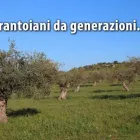 Immagine 1 azienda OLEIFICIO SCAPELLATO DI SERGIO SCAPELLATO Gastronomia in Rosolini SR