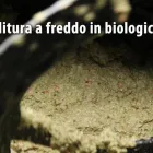 Immagine 5 azienda OLEIFICIO SCAPELLATO DI SERGIO SCAPELLATO Gastronomia in Rosolini SR