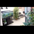 Immagine 1 azienda OMNIA SERVICE BORSELLI DR. VITTORIO Servizi professionali in Verona