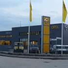 Immagine 3 azienda ONLY CAR 1 Veicoli in Ferrara