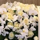Immagine 3 azienda ONORANZE FUNEBRI DE NADAI CRISTIANO Servizi professionali in Carbonera TV