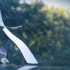 Immagine 8 azienda ONORANZE FUNEBRI FENOGLIO & FIGLI Servizi professionali in Barca