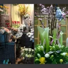 Immagine 1 azienda ONORANZE FUNEBRI GALGANO E TORNILLO Shopping e acquisti in Calitri AV