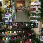 Immagine 6 azienda ONORANZE FUNEBRI GALGANO E TORNILLO Shopping e acquisti in Calitri AV