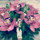 Immagine 7 azienda ONORANZE FUNEBRI GALGANO E TORNILLO Shopping e acquisti in Calitri AV