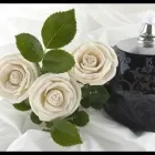 Immagine 1 azienda ONORANZE FUNEBRI GIANNI GIBELLINI Servizi professionali in Campogalliano MO