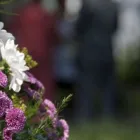 Immagine 1 azienda ONORANZE FUNEBRI LA CELESTIALE Servizi professionali in Montella AV