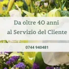 Immagine 3 azienda ONORANZE FUNEBRI LAVORAZIONE MARMI F.LLI BASILI Servizi professionali in Montecastrilli
