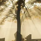 Immagine 3 azienda ONORANZE FUNEBRI RONCA Servizi professionali in Albano Laziale RM